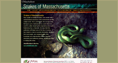 Desktop Screenshot of masnakes.org