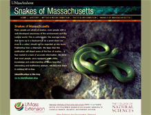 Tablet Screenshot of masnakes.org